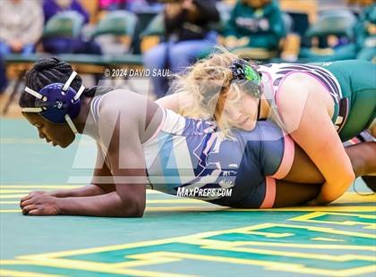 Thumbnail 2 in Widefield @ Falcon photogallery.