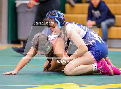 Thumbnail 1 in Widefield @ Falcon photogallery.