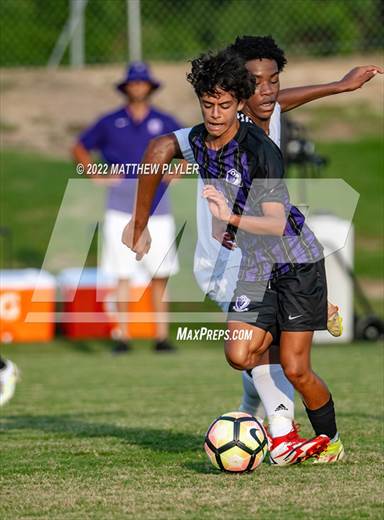 null - Photo 11