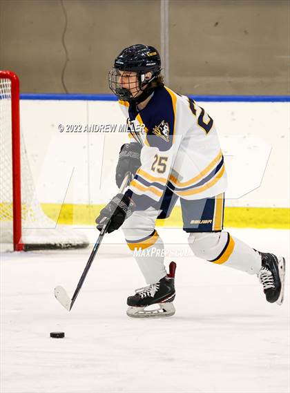 Thumbnail 3 in West Genesee vs. Victor  (NYSPHSAA D1 Semifinal) photogallery.