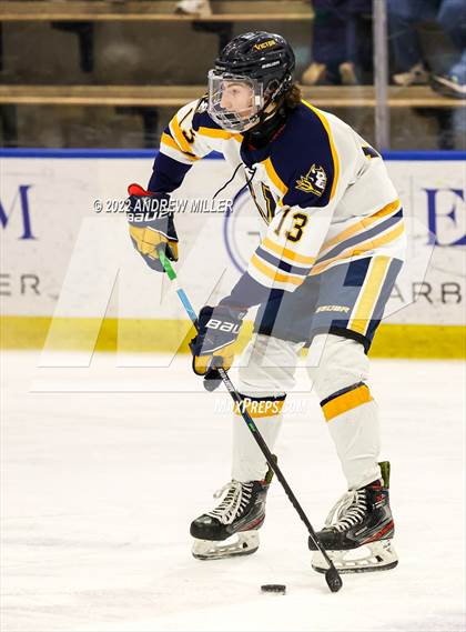 Thumbnail 1 in West Genesee vs. Victor  (NYSPHSAA D1 Semifinal) photogallery.