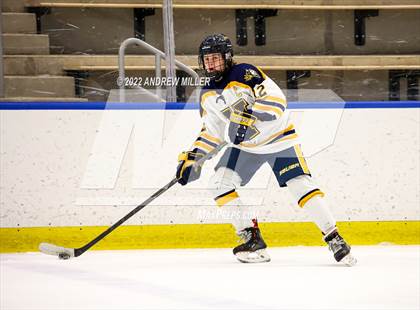 Thumbnail 1 in West Genesee vs. Victor  (NYSPHSAA D1 Semifinal) photogallery.