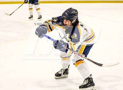 Thumbnail 3 in West Genesee vs. Victor  (NYSPHSAA D1 Semifinal) photogallery.