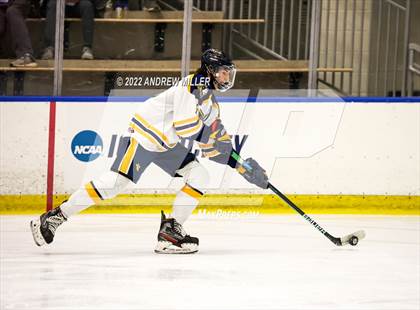 Thumbnail 1 in West Genesee vs. Victor  (NYSPHSAA D1 Semifinal) photogallery.