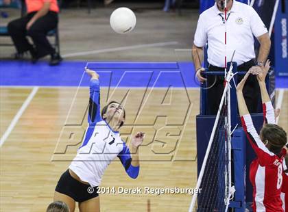 Thumbnail 2 in Regis Jesuit vs Grandview (CHSAA 5A Semifinal Playoff) photogallery.