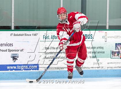 Thumbnail 1 in Waltham @ Wellesley photogallery.