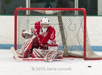 Thumbnail 3 in Waltham @ Wellesley photogallery.