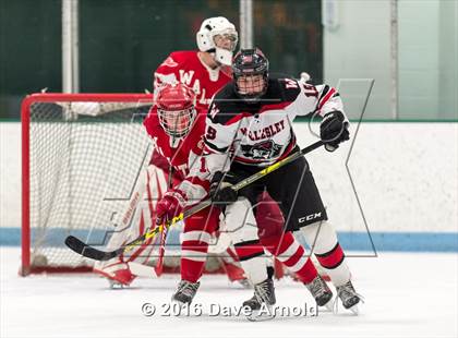 Thumbnail 1 in Waltham @ Wellesley photogallery.