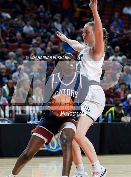 Thumbnail 1 in Millard West vs. Lincoln North Star (NSAA Class A Semifinal) photogallery.