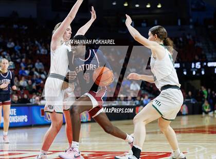 Thumbnail 3 in Millard West vs. Lincoln North Star (NSAA Class A Semifinal) photogallery.