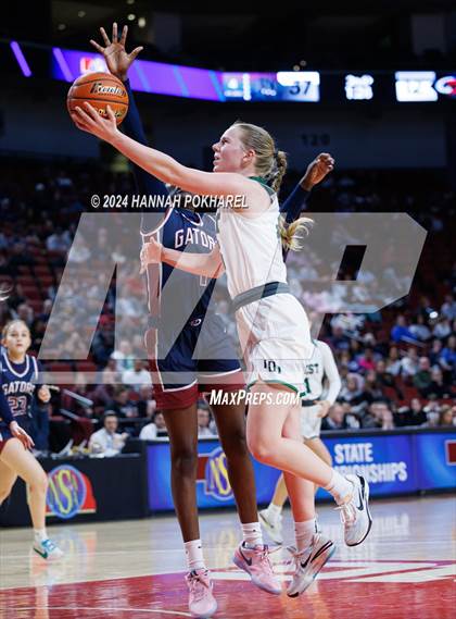 Thumbnail 1 in Millard West vs. Lincoln North Star (NSAA Class A Semifinal) photogallery.