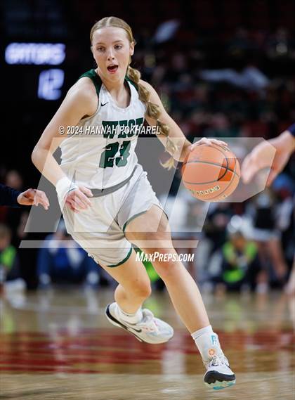 Thumbnail 1 in Millard West vs. Lincoln North Star (NSAA Class A Semifinal) photogallery.