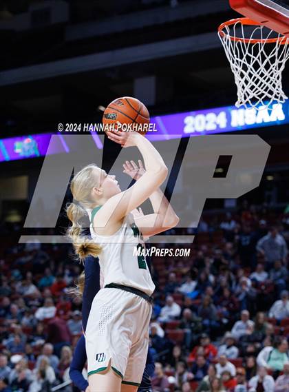 Thumbnail 1 in Millard West vs. Lincoln North Star (NSAA Class A Semifinal) photogallery.