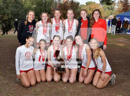 Thumbnail 2 in CIF State Cross Country Championships (Girls Awards) photogallery.