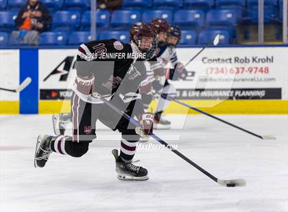 Thumbnail 2 in Powers Catholic vs  University of Detroit Jesuit (MHSAA Division 2 State Semifinal) photogallery.