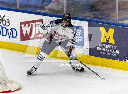 Thumbnail 2 in Powers Catholic vs  University of Detroit Jesuit (MHSAA Division 2 State Semifinal) photogallery.