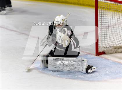 Thumbnail 1 in Powers Catholic vs  University of Detroit Jesuit (MHSAA Division 2 State Semifinal) photogallery.