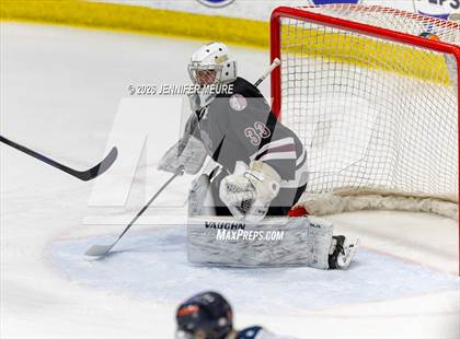 Thumbnail 3 in Powers Catholic vs  University of Detroit Jesuit (MHSAA Division 2 State Semifinal) photogallery.