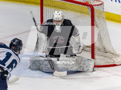 Thumbnail 2 in Powers Catholic vs  University of Detroit Jesuit (MHSAA Division 2 State Semifinal) photogallery.