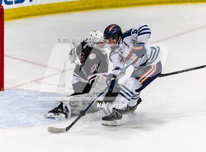 Thumbnail 1 in Powers Catholic vs  University of Detroit Jesuit (MHSAA Division 2 State Semifinal) photogallery.