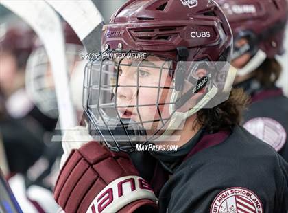 Thumbnail 3 in Powers Catholic vs  University of Detroit Jesuit (MHSAA Division 2 State Semifinal) photogallery.