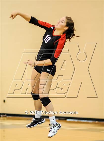 Thumbnail 3 in Rockwall Heath @ North Forney photogallery.