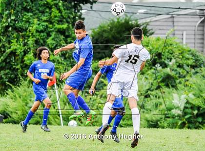 Thumbnail 2 in Division @ West Hempstead photogallery.