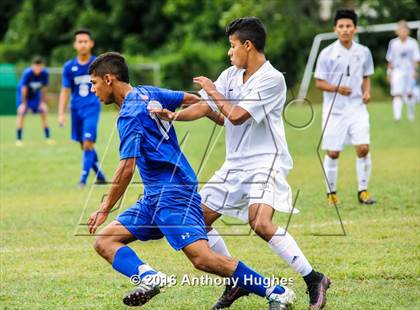 Thumbnail 3 in Division @ West Hempstead photogallery.