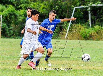 Thumbnail 2 in Division @ West Hempstead photogallery.