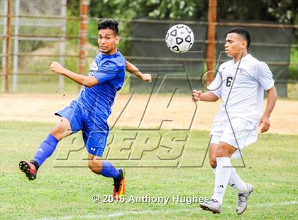 Thumbnail 2 in Division @ West Hempstead photogallery.