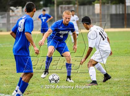 Thumbnail 3 in Division @ West Hempstead photogallery.