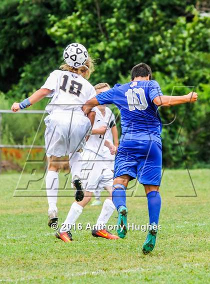 Thumbnail 3 in Division @ West Hempstead photogallery.