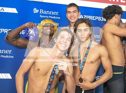 Thumbnail 3 in AIA Division III Championships (Awards) photogallery.