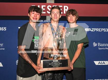 Thumbnail 3 in AIA Division III Championships (Awards) photogallery.