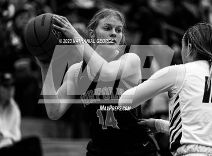 Thumbnail 3 in Norfolk @ Papillion-LaVista photogallery.