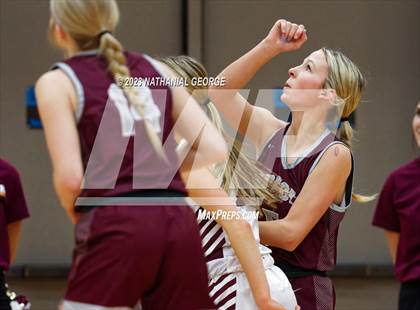 Thumbnail 1 in Norfolk @ Papillion-LaVista photogallery.