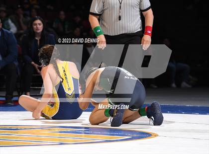 Thumbnail 3 in CIF State Girls Wrestling Championships (Finals) photogallery.