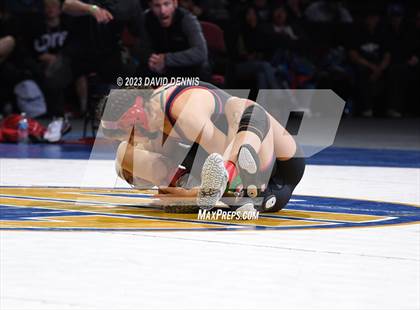 Thumbnail 3 in CIF State Girls Wrestling Championships (Finals) photogallery.