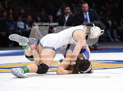 Thumbnail 2 in CIF State Girls Wrestling Championships (Finals) photogallery.