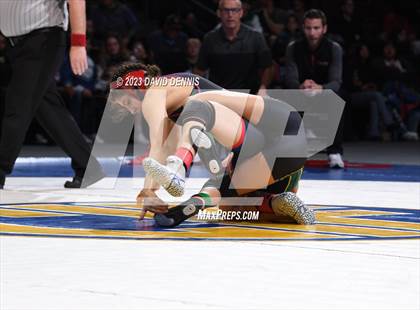 Thumbnail 2 in CIF State Girls Wrestling Championships (Finals) photogallery.