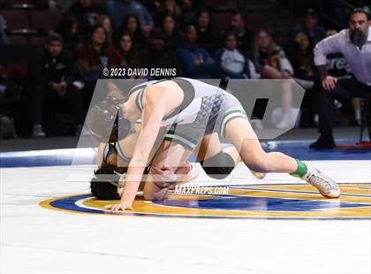 Thumbnail 3 in CIF State Girls Wrestling Championships (Finals) photogallery.