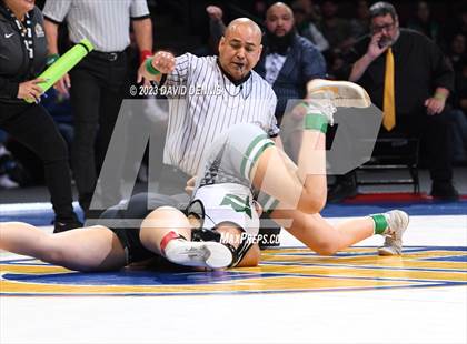 Thumbnail 1 in CIF State Girls Wrestling Championships (Finals) photogallery.