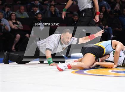 Thumbnail 3 in CIF State Girls Wrestling Championships (Finals) photogallery.
