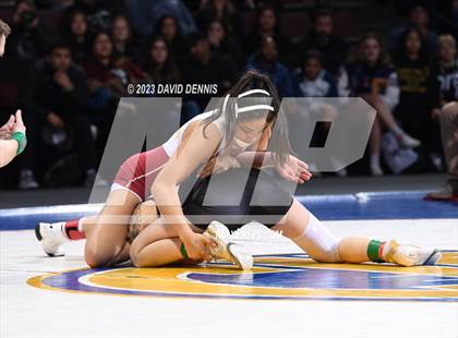 Thumbnail 3 in CIF State Girls Wrestling Championships (Finals) photogallery.