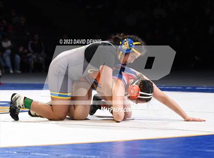 Thumbnail 2 in CIF State Girls Wrestling Championships (Finals) photogallery.