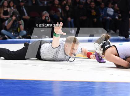 Thumbnail 1 in CIF State Girls Wrestling Championships (Finals) photogallery.