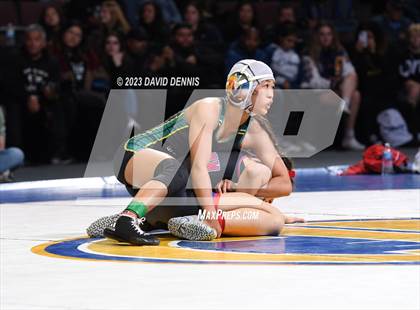 Thumbnail 3 in CIF State Girls Wrestling Championships (Finals) photogallery.
