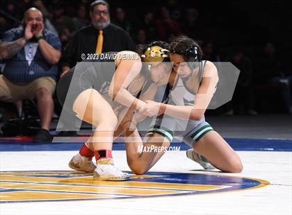 Thumbnail 2 in CIF State Girls Wrestling Championships (Finals) photogallery.
