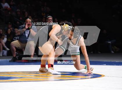 Thumbnail 3 in CIF State Girls Wrestling Championships (Finals) photogallery.