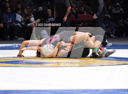 Thumbnail 1 in CIF State Girls Wrestling Championships (Finals) photogallery.
